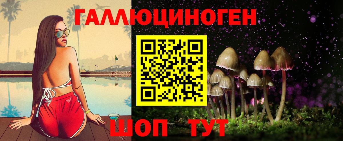 Псилоцибиновые грибы Psilocybe  что такое наркотик  Псилоцибиновые грибы мицелий  Серпухов  Вход с VPN 